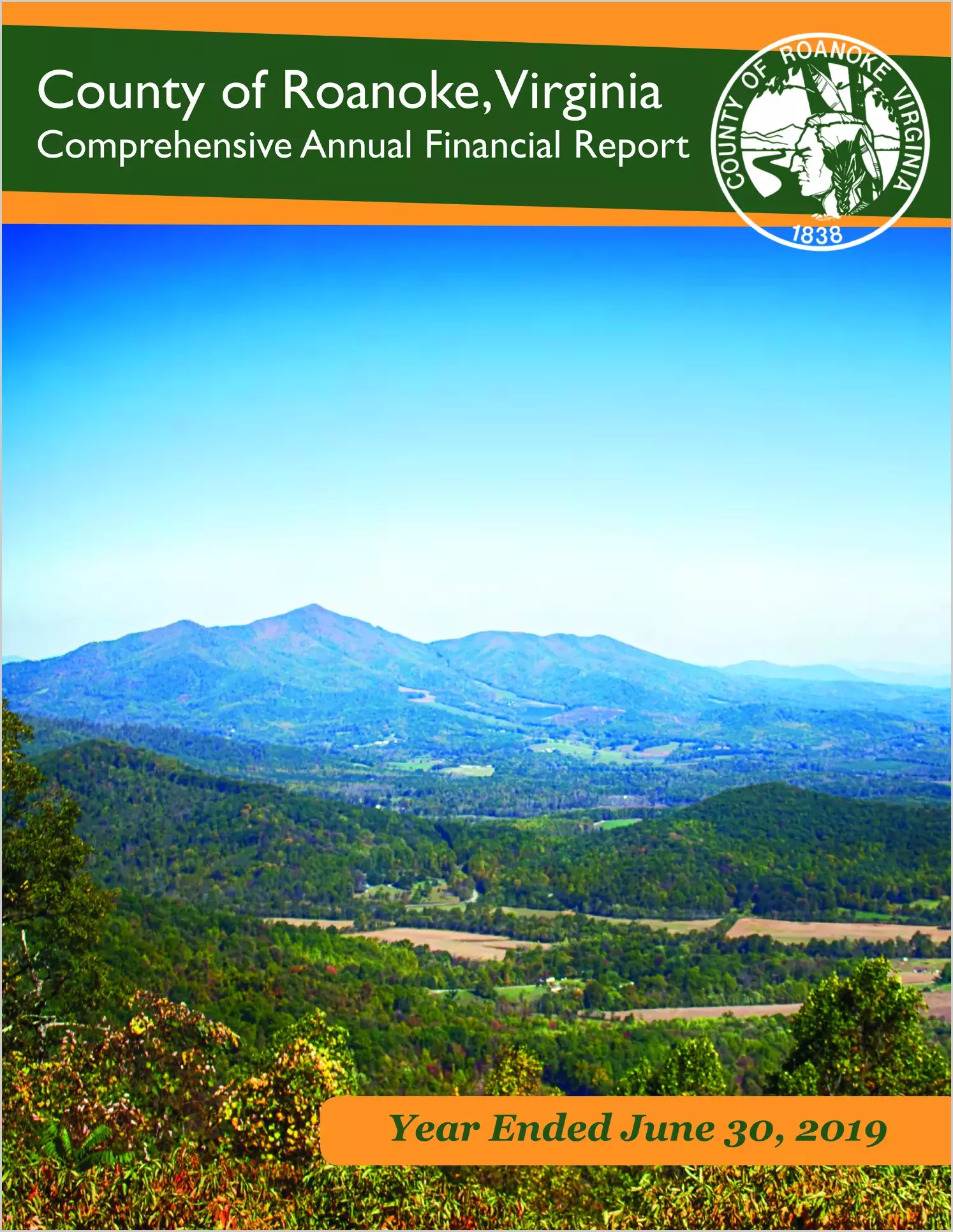 2019 Annual Financial Report for County of Roanoke