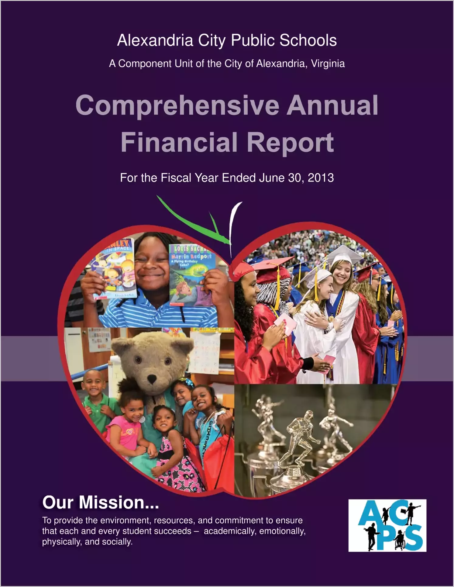 2013 Public Schools Annual Financial Report for City of Alexandria