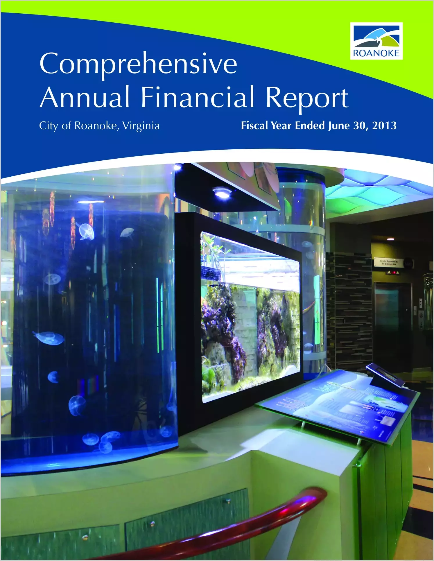 2013 Annual Financial Report for City of Roanoke