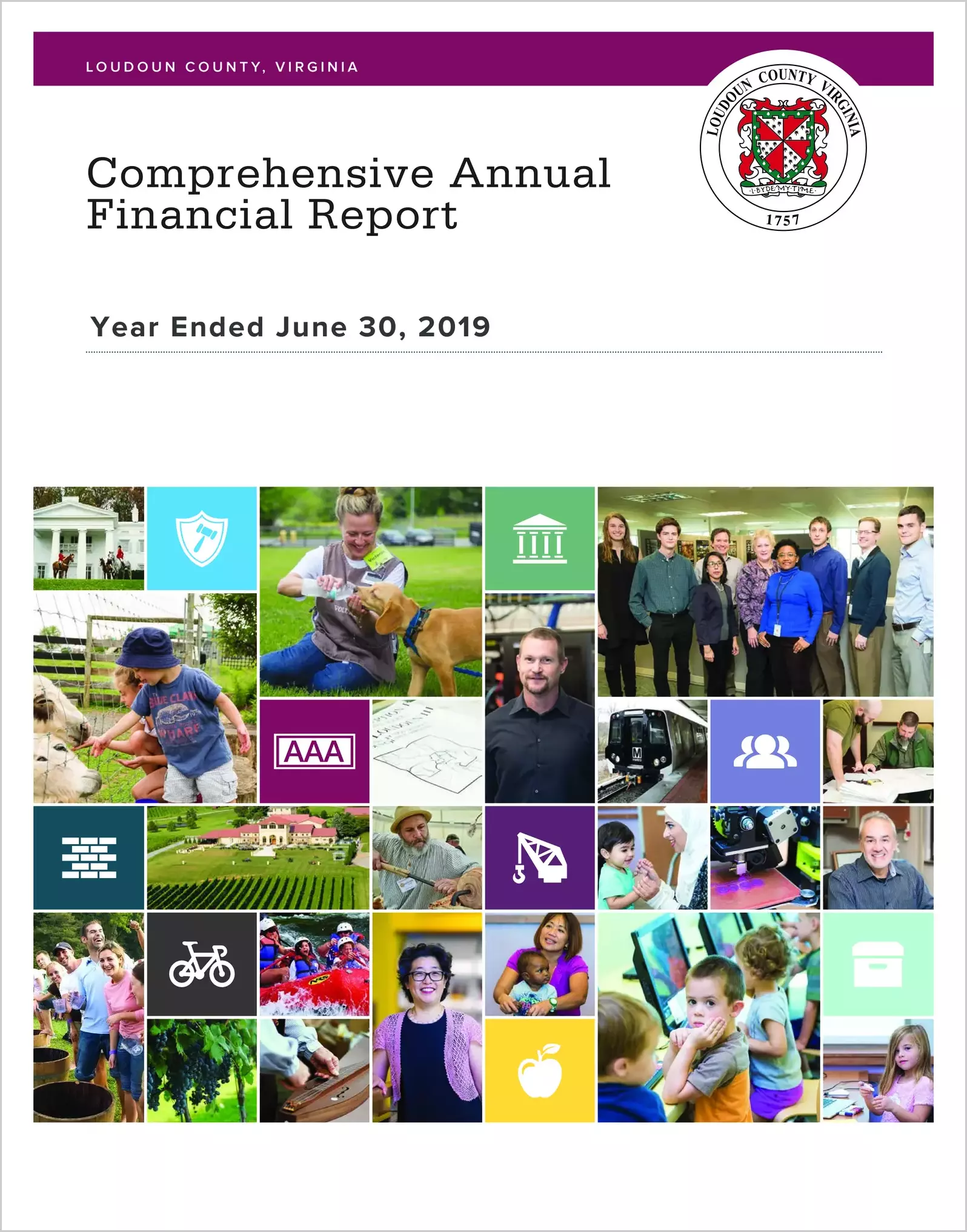 2019 Annual Financial Report for County of Loudoun