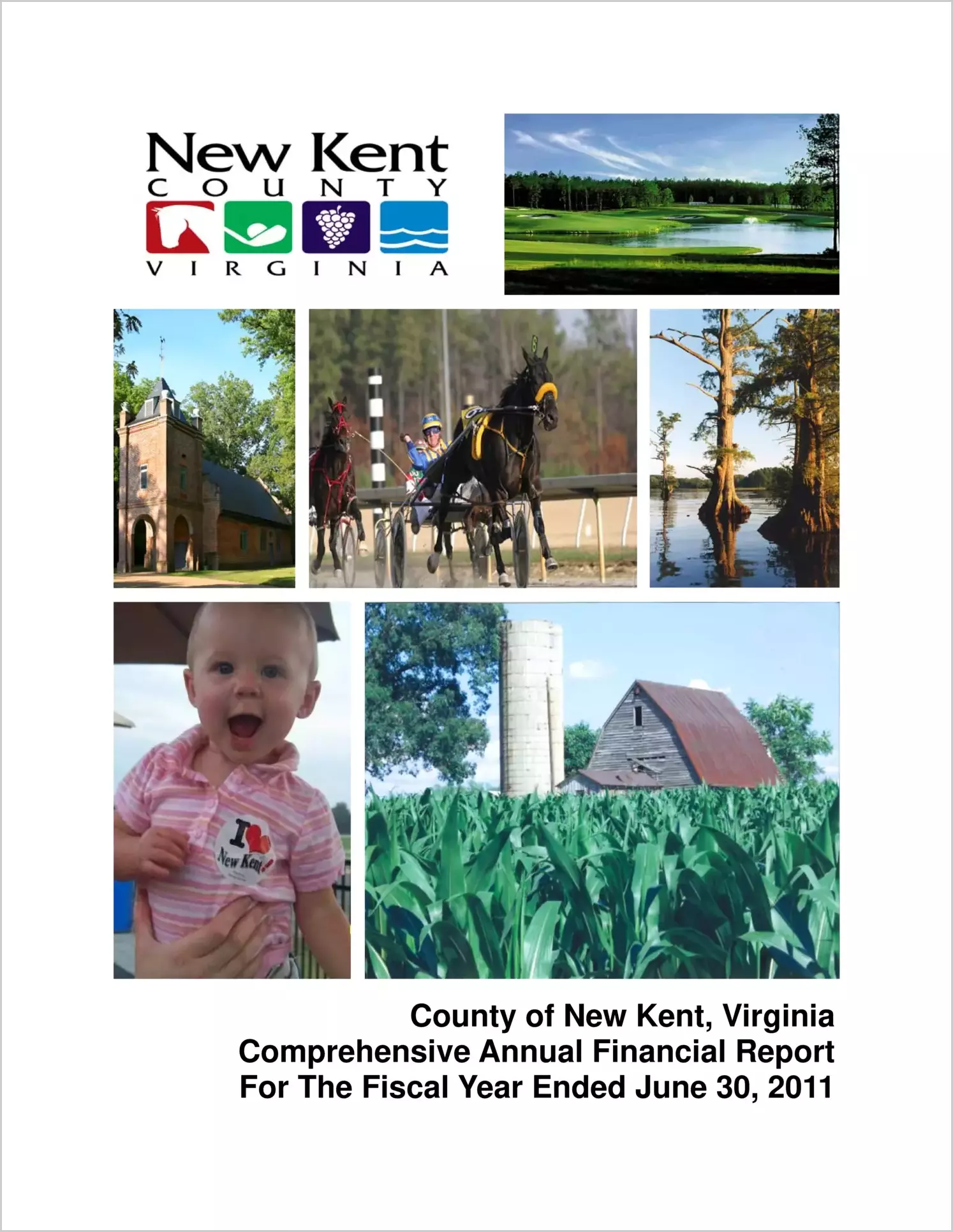 2010 Annual Financial Report for County of New Kent