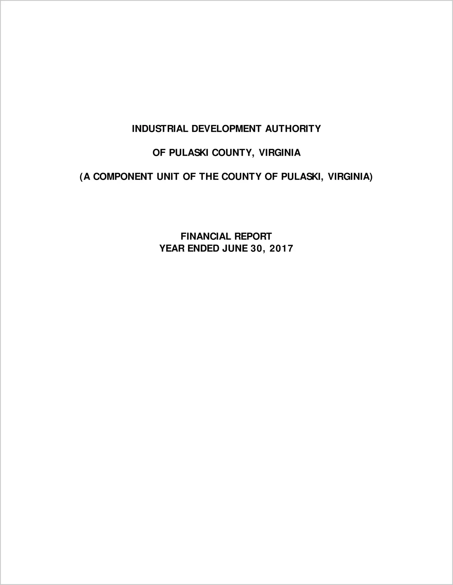 preview of 2017 ABC/Other Annual Financial Report for Pulaski County Economic Development Authority 