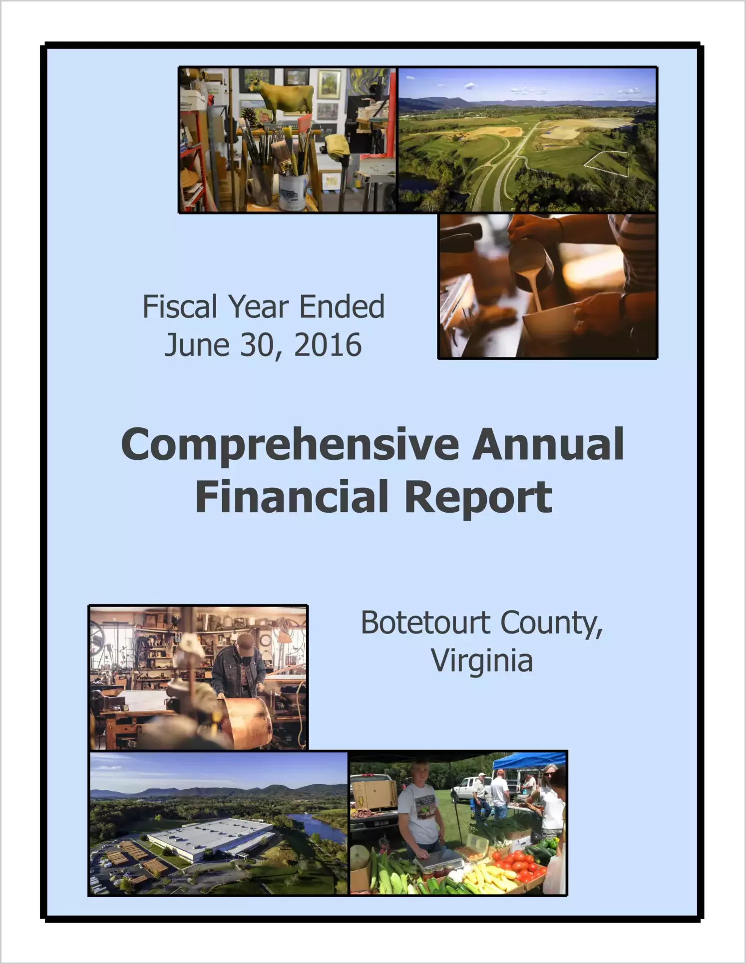 2016 Annual Financial Report for County of Botetourt