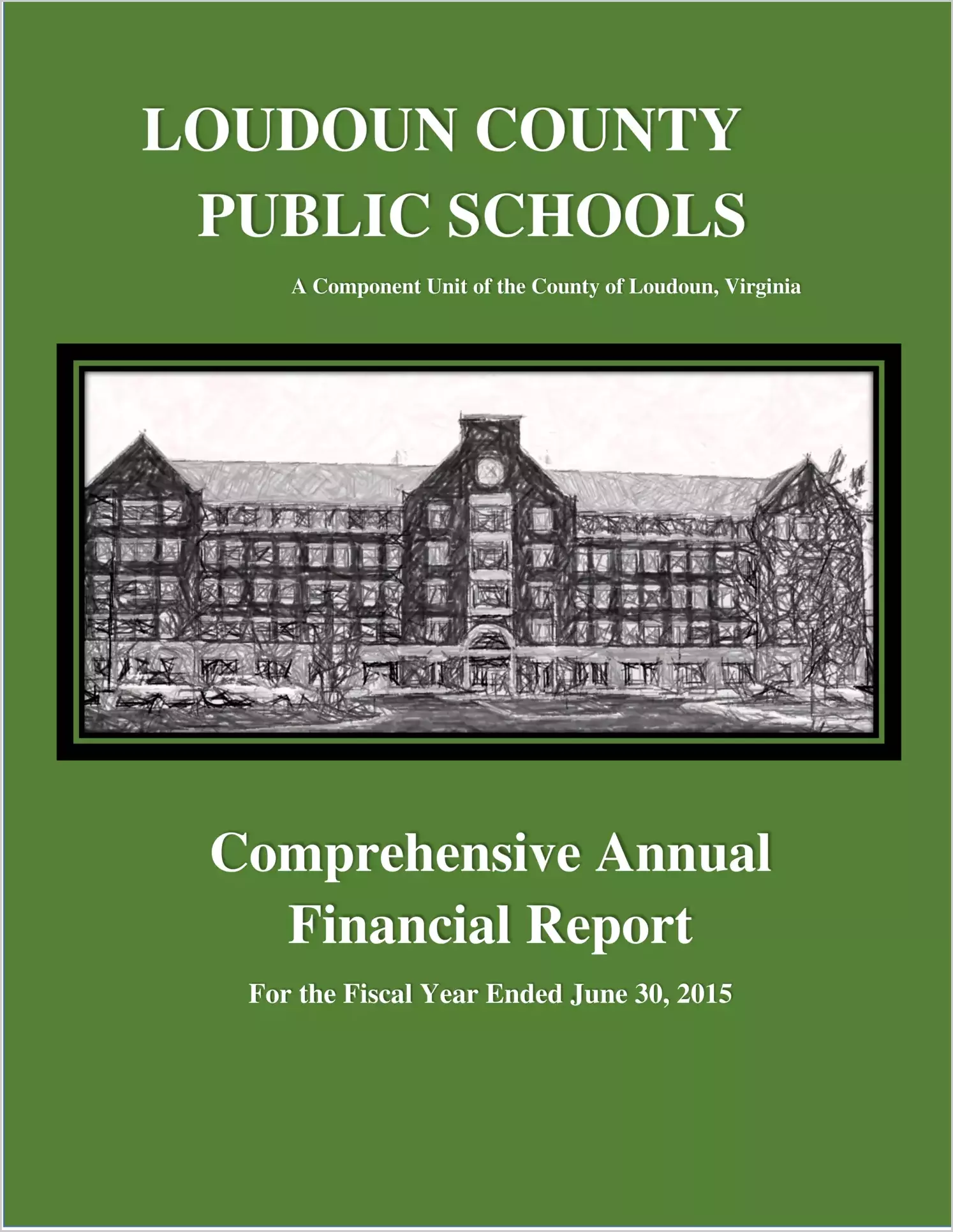 2015 Public Schools Annual Financial Report for County of Loudoun