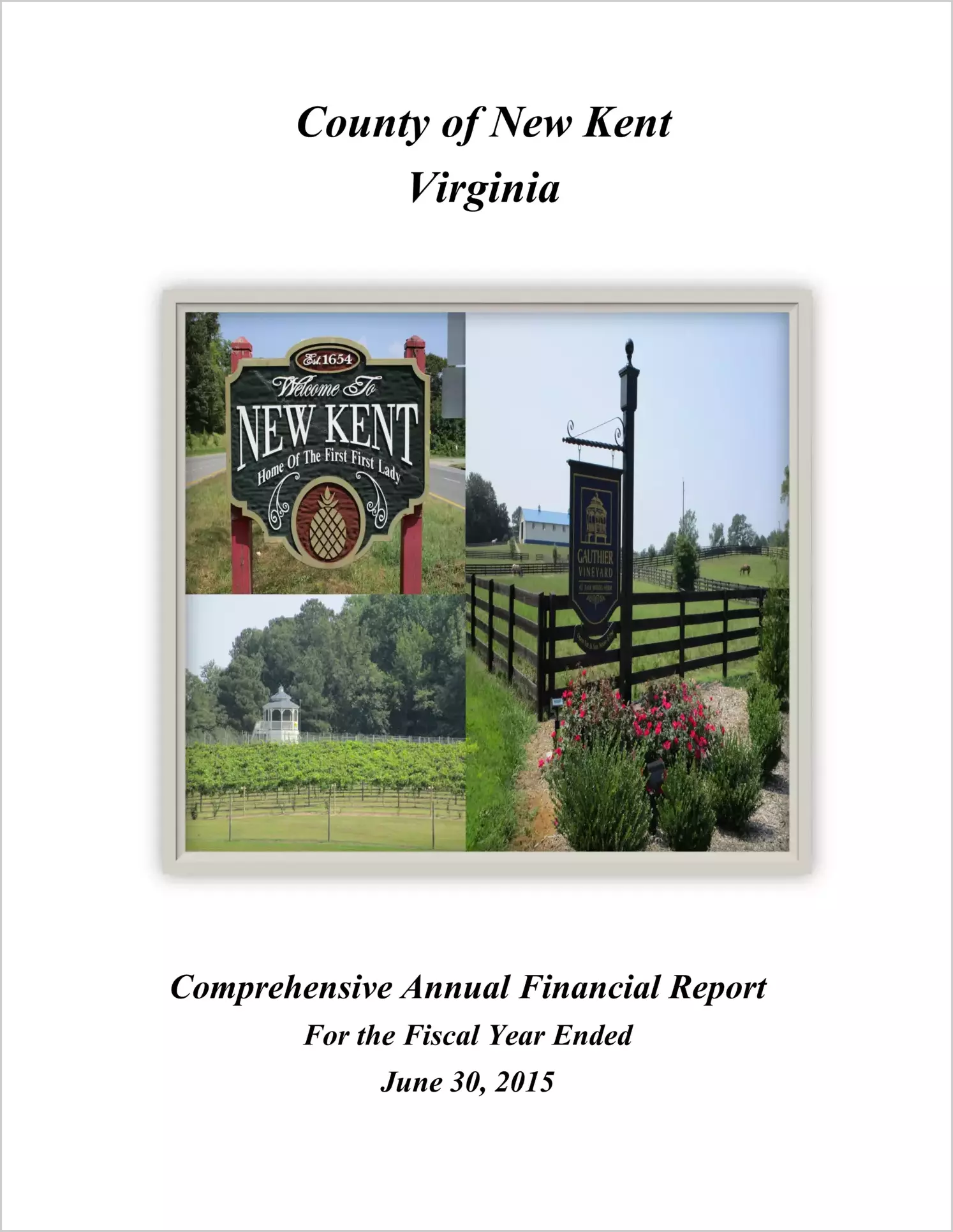 2015 Annual Financial Report for County of New Kent