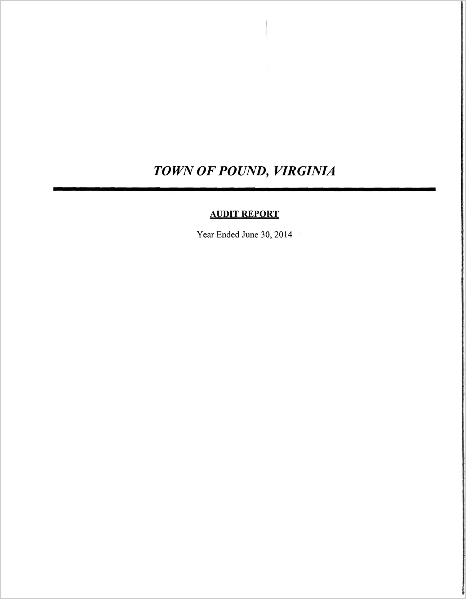 2014 Annual Financial Report for Town of Pound