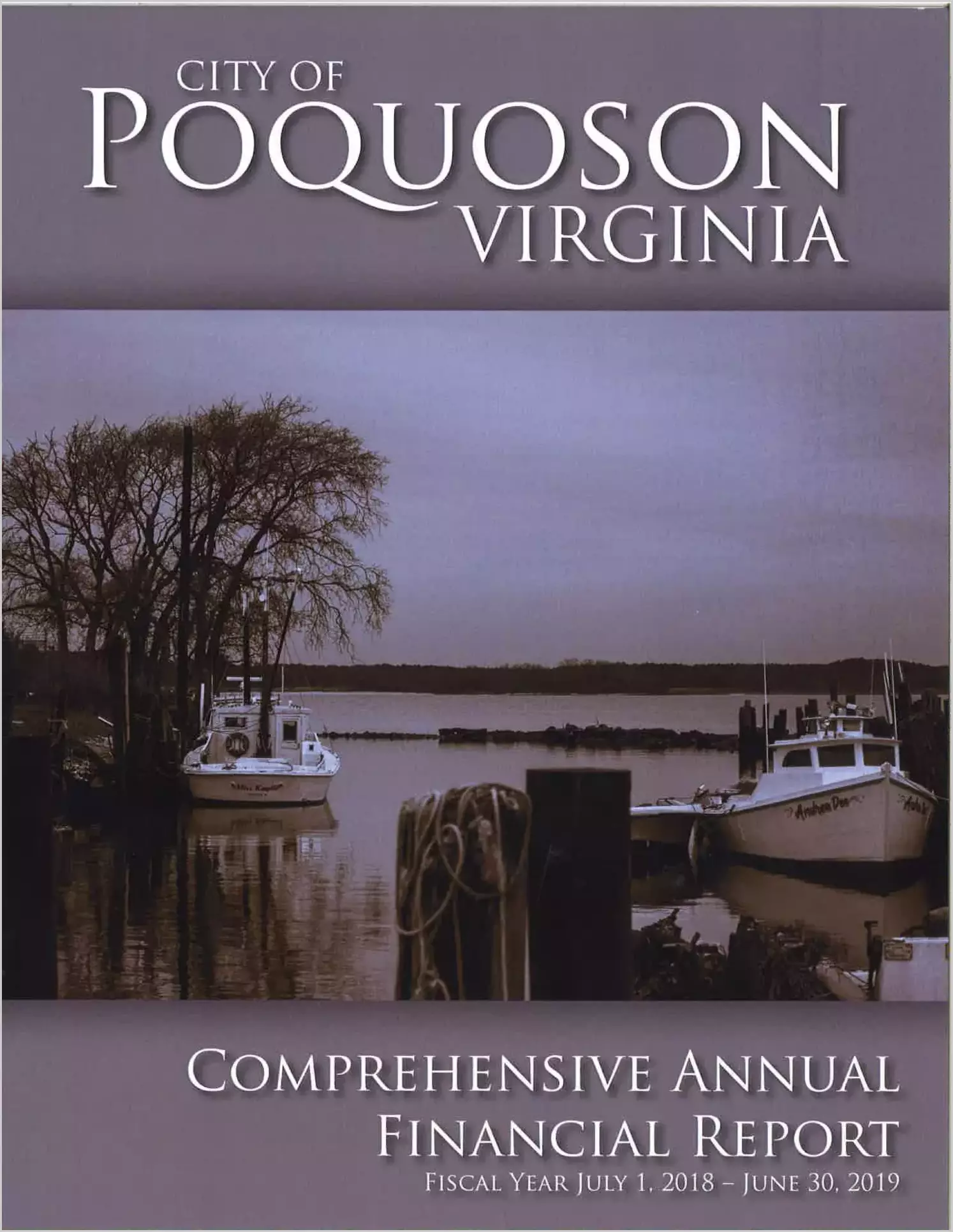 2019 Annual Financial Report for City of Poquoson